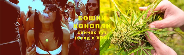 альфа пвп Медногорск