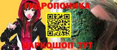 apvp Волжск