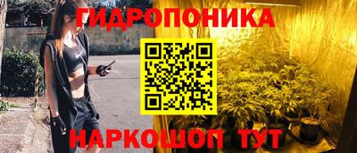 сатива Волгодонск