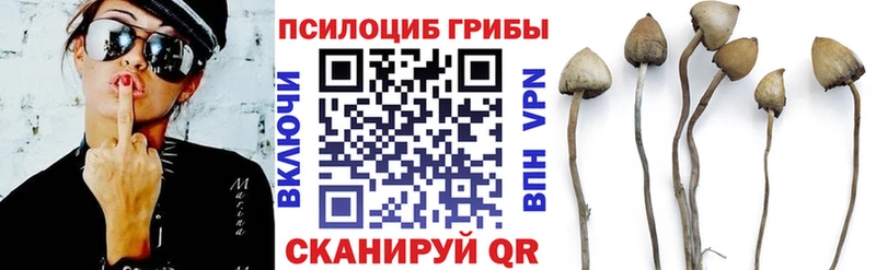 Псилоцибиновые грибы GOLDEN TEACHER  Павловский Посад 