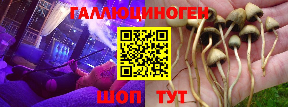 Псилоцибиновые грибы мицелий  Вход с VPN  Павловский Посад 